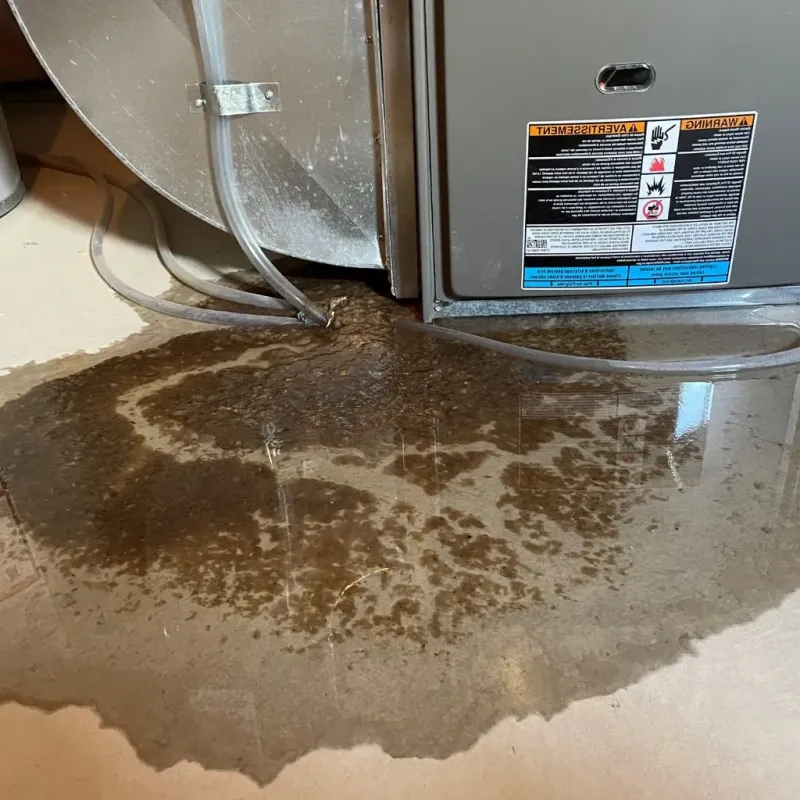 Pipe Burst and Leak Restoration in Brownstown, PA
