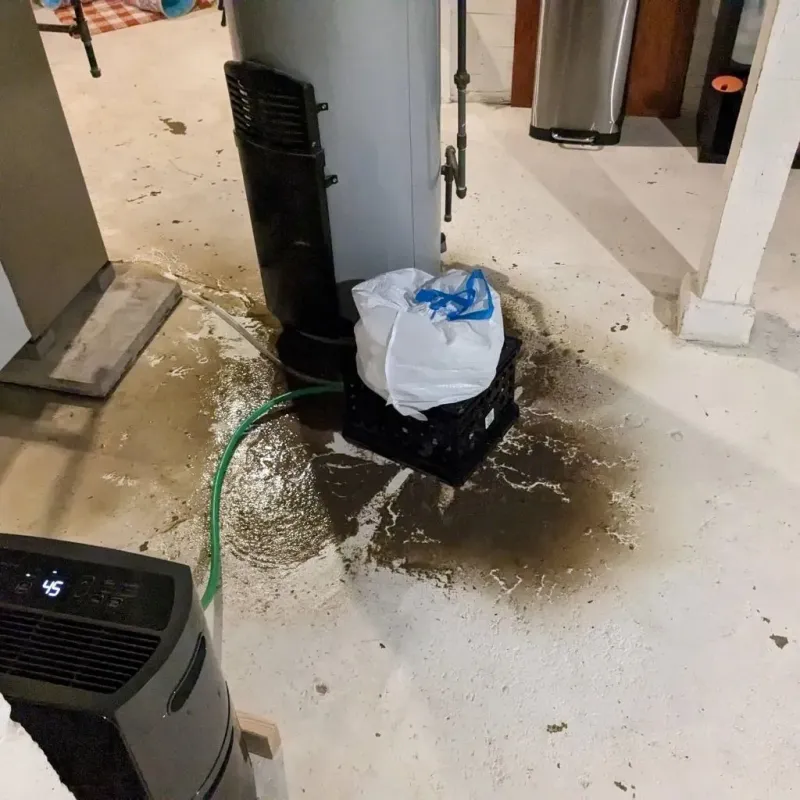 Sewage Backup Cleanup Service in Brownstown, PA